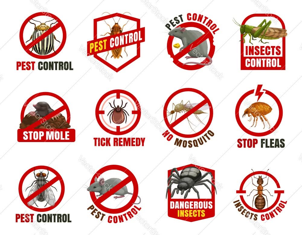 Pest Control - More4LessLB