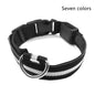 Nylon LED Pet Dog Luminous Collar Night Safety Flashing Glow in Dark Dog Cat Leash Adjustable Pet Supplies - More4LessLB