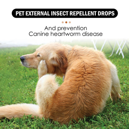 Dog Cat Drops Spray Cleaning Remove Lice Tick Flea - More4LessLB