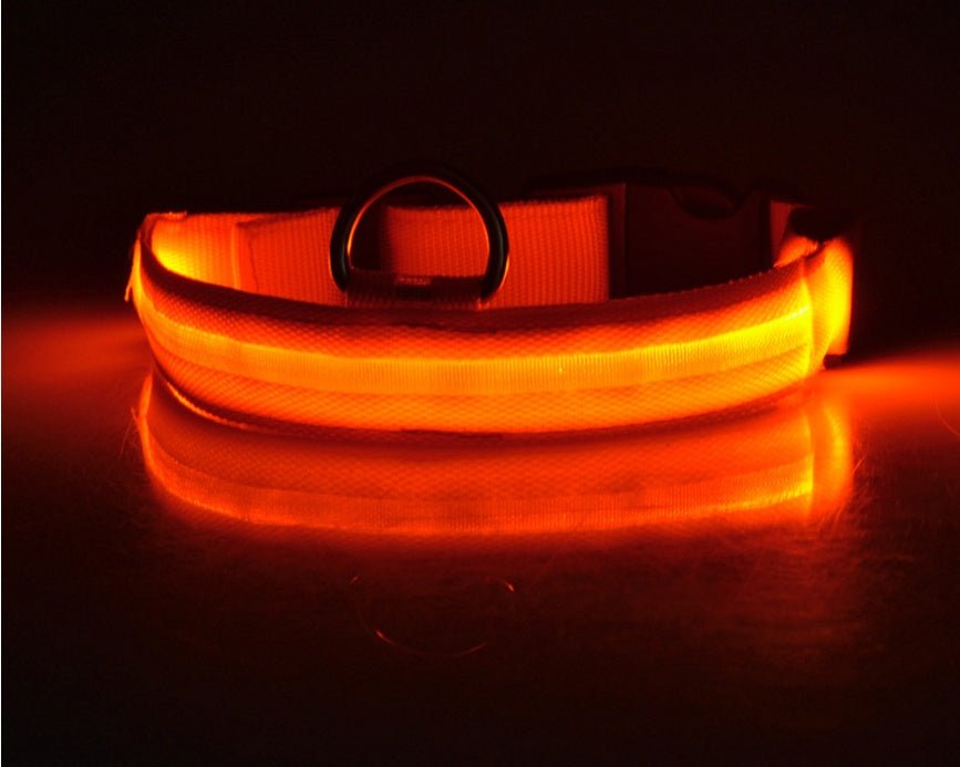 Nylon LED Pet Dog Luminous Collar Night Safety Flashing Glow in Dark Dog Cat Leash Adjustable Pet Supplies - More4LessLB