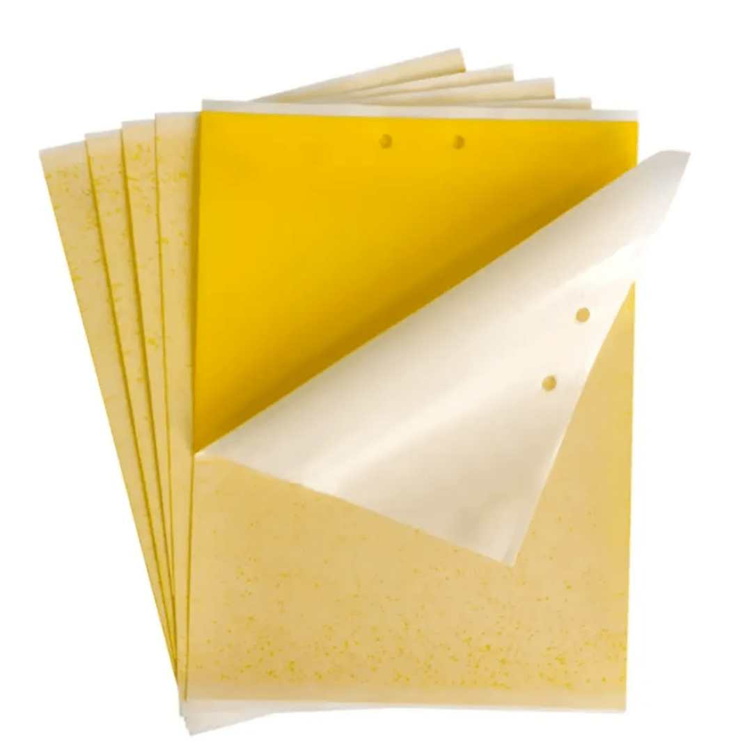 Pack of 10 sticky fly traps with free organic attractants