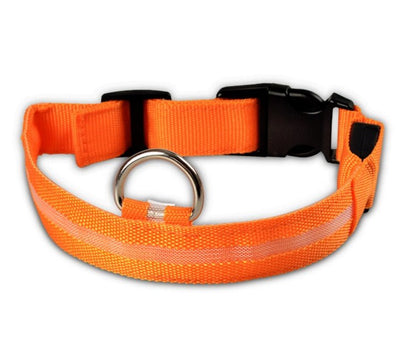 Nylon LED Pet Dog Luminous Collar Night Safety Flashing Glow in Dark Dog Cat Leash Adjustable Pet Supplies - More4LessLB