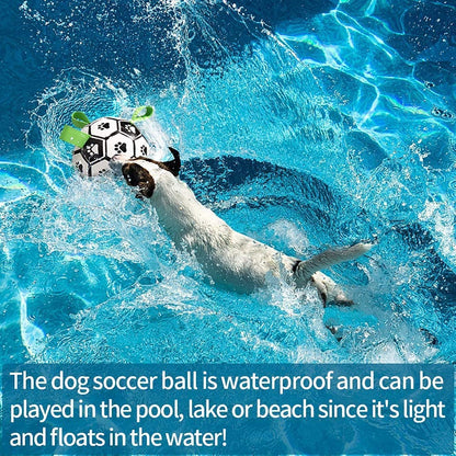 Fun Soccer Ball Toy for Dogs – Interactive & Energetic Play - More4LessLB