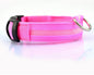 Nylon LED Pet Collar – Luminous Adjustable Night Safety for Dogs & Cats - More4LessLB