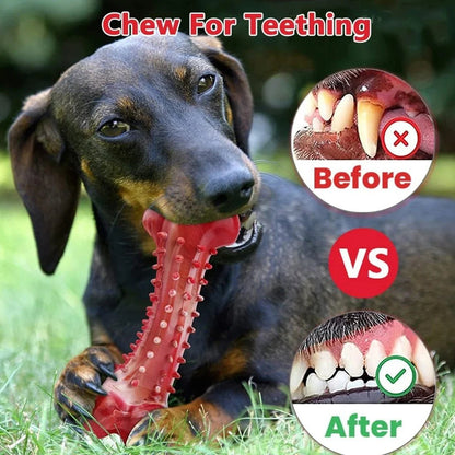Natural Rubber Chew Toy – Strong & Safe for Aggressive Chewers - More4LessLB