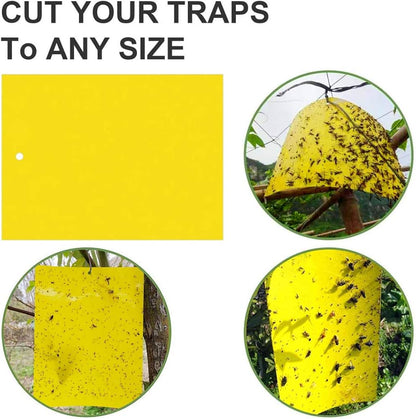 Fly trap hanging near plants or greenhouse