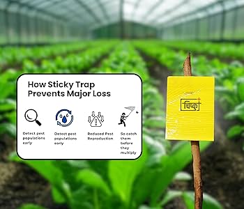 Fly trap hanging near plants or greenhouse