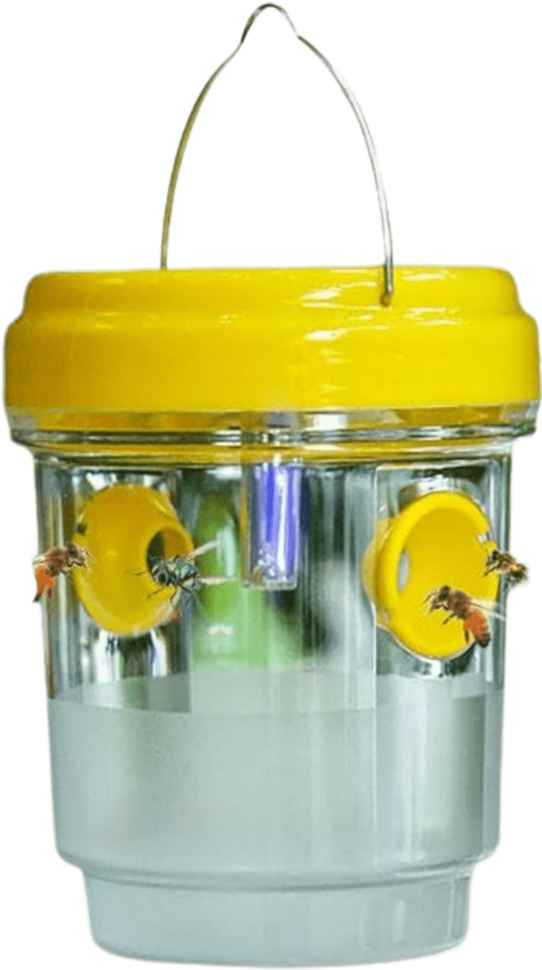 UV insect trap glowing at night attracting wasps