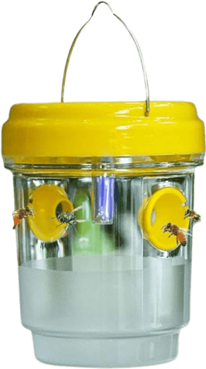 UV insect trap glowing at night attracting wasps