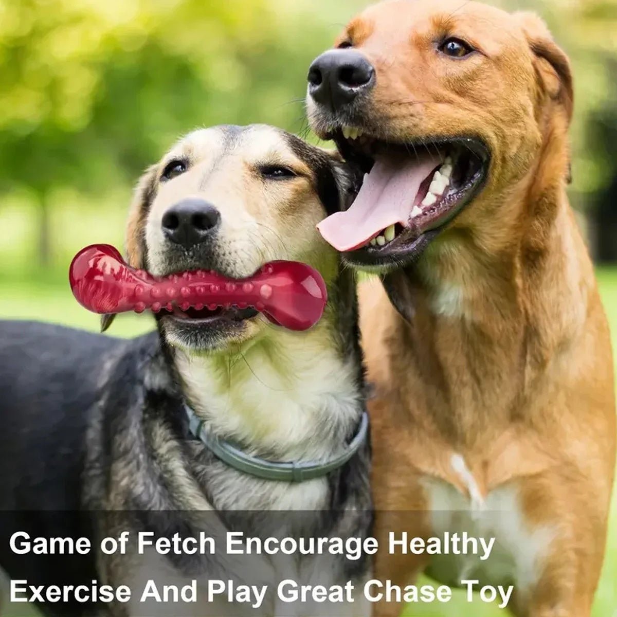 Natural Rubber Chew Toy – Strong & Safe for Aggressive Chewers - More4LessLB
