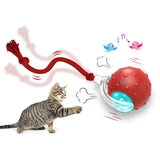 Smart Cat Toy Ball – Rolling & Active Play - More4LessLB