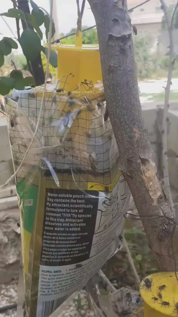 Sticky fly trap sheet front view – chemical-free pest control

Sticky sheet with organic attractant applied on both sides

Fly trap hanging near plants or greenhouse

Close-up of trapped flies on sticky fly trap sheet