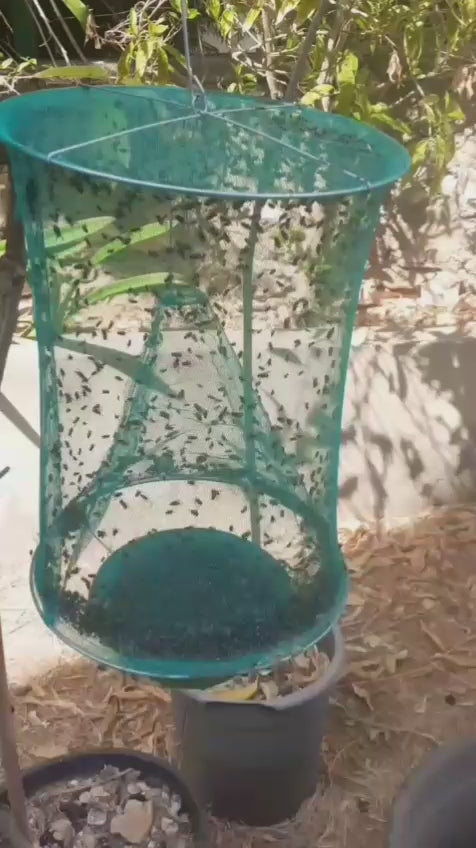 Reusable net fly trap with organic attractant – eco-friendly pest control

Net fly trap hanging outdoors near farm or garden

Close-up of attractant tray with water inside fly trap net

Chemical-free fly catcher for outdoor pest protection