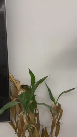 Keychain with LED light front view

Keychain magnet for hanging

Keychain as bottle opener, USB rechargeable