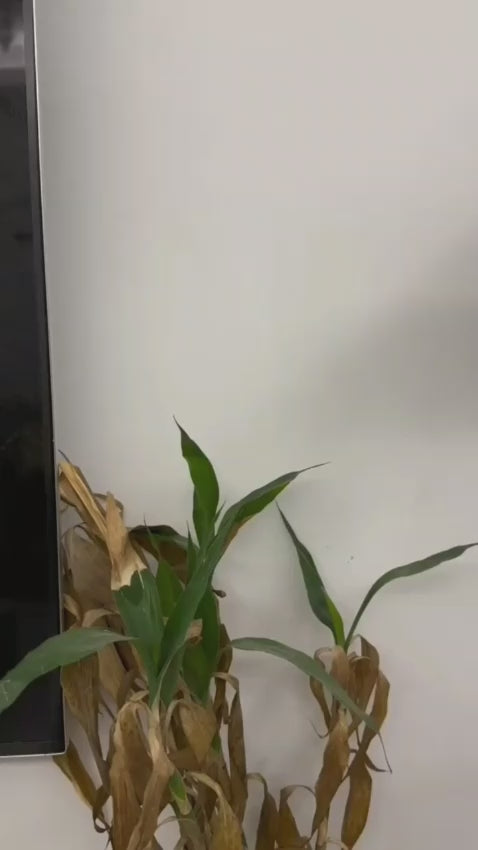 Keychain with LED light front view

Keychain magnet for hanging

Keychain as bottle opener, USB rechargeable