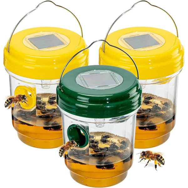 Close-up view of wasps inside the UV trap